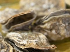 原味焗生蚝-蠔爺王志德生蚝馆(金沙湾店)