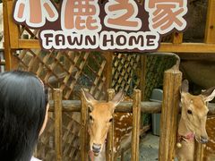 -杭州开元森泊度假乐园