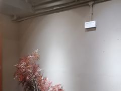 -567·密室逃脱(大良店)