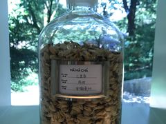 -MAMACHA妈妈茶(岳麓山店)