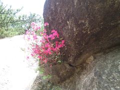 景点-天柱山风景区