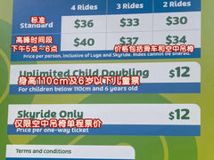 -圣淘沙天际线斜坡滑车