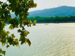 -橘子洲景区