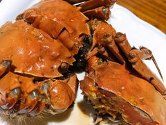 -呼吸森林·生态农庄农家乐私房菜