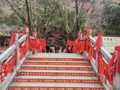 -灵光寺