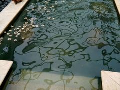 -苏州湾王焰温泉度假酒店