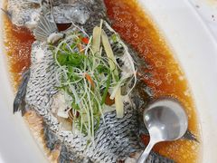-骏莱海鲜鱼港(五角场店)