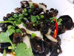 凉拌山木耳-润泽园椰子鸡(汇一城店)