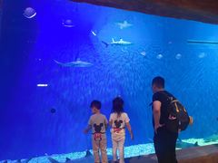 -华夏文旅海洋公园