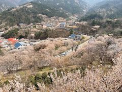 -葛子涧农家宴