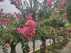 -武汉紫薇都市田园