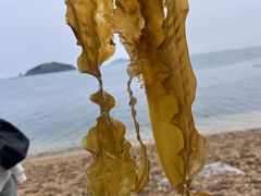 -傅家庄公园