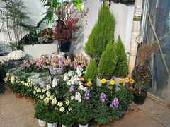 -双季花艺园艺市场(浦东店)