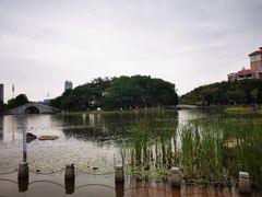 -映月湖公园