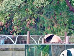 -北京动物园