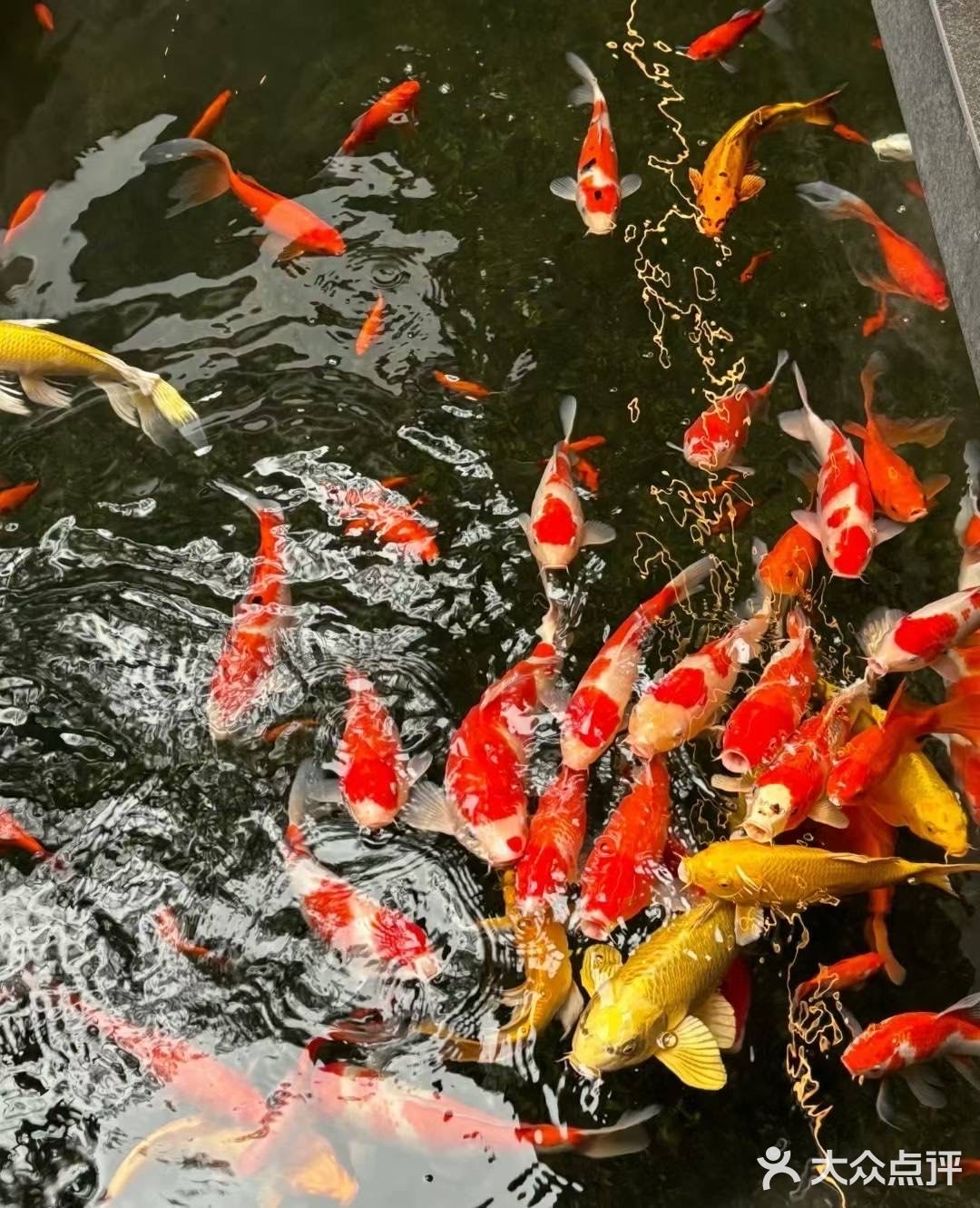 藏在园林里的平阊面馆