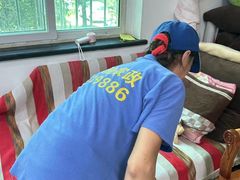 -武汉格丽雅家政 保洁清洗