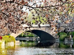 -海棠花溪(元大都城垣遗址公园)
