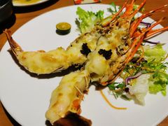 芝士小青龙-渔寿司·日本料理(艾尚天地店)