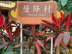 -西双版纳傣族园