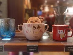-COSTA COFFEE(西直门店)
