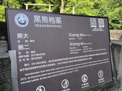 -都江堰中华大熊猫苑