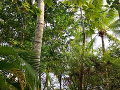 -三亚珠江南田温泉度假区