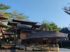 -海南槟榔谷黎苗文化旅游区