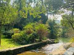 -白马涧龙池景区