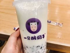 -一只酸奶牛(八一路店)
