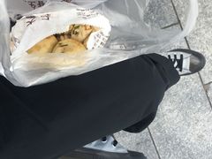 -大壶春生煎(四川中路店)