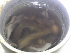 -广达眼镜炖罐(广达店)
