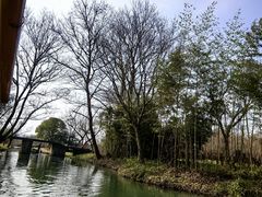 -西溪国家湿地公园