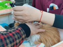 -美联众合动物医院·24h京西诊疗中心