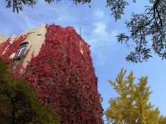 -辽宁大学(崇山校区)