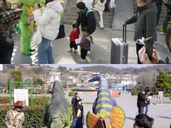 -中国西峡恐龙遗迹园