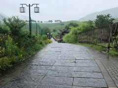 -帐篷客·溪龙茶谷度假酒店