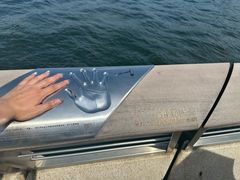 -星光大道