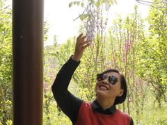 -南汇桃花村