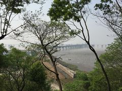 -平湖九龙山旅游度假区