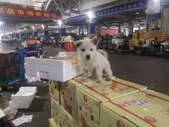 -南京众彩农副产品配送有限公司