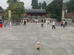 -报恩寺(平武县)