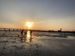 -南汇新城海滩