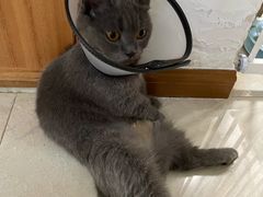 -佳雯宠物医院(金华南路分院)