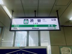 -涩谷区