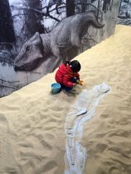 -恐龙探索乐园(磁器口店)