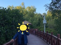 -大亚湾红树林城市湿地公园