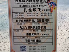 -西双版纳原始森林公园