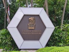 -新加坡丽思卡尔顿美年酒店