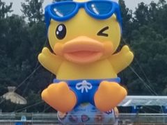 -上海玛雅海滩水公园